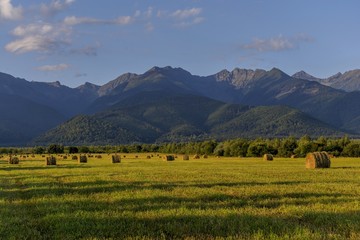 Fototapeta na wymiar Early summer morning field with round straw bales near the mountains. Beautiful idyllic countryside landscape with mountains in background. . Round bales of hay left in the field after harvest