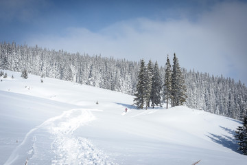 Winter landscapes in the Carpathians: a path, a forest, a wooden kolyba