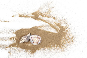 Sea shells in sand pile isolated on white background, top view