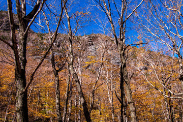Autumn scene in Vermont mountains near Stowe