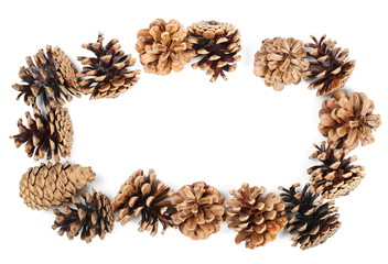 Frame pine cones isolated on white background, top view