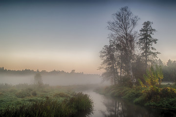 Rzeka Grabia w centralnej Polsce zaraz po wschodzie słońca otulona poranna mgłą © Senatorek