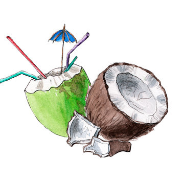 coconut watercolor drawing. tropical cocktail menu.