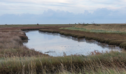 River flood plain