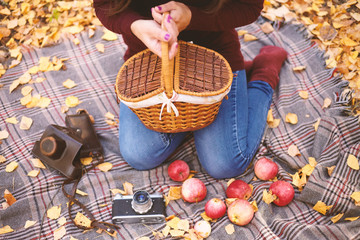 Picnic in the autumn forest