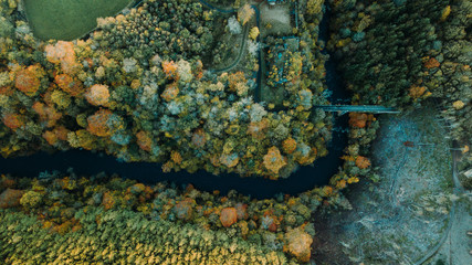 Obraz na płótnie Canvas aerial view of river and autumn trees 