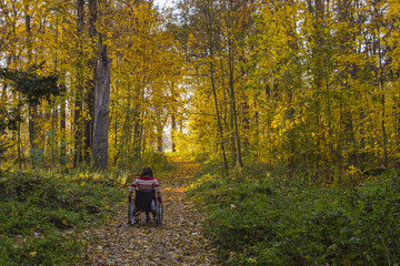 Frau fährt im Rollstuhl im herbstlichen Wald 01