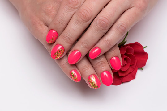 Summer red, coral manicure with gold foil on short oval nails on a white background close-up with a red rose in the palms