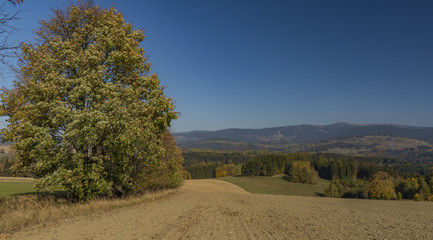 Autumn in Krkonose national park near Roprachtice village