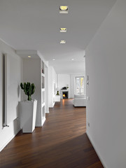 living room interior in foreground the planter with a cactus in background the fireplace in front of at sofa