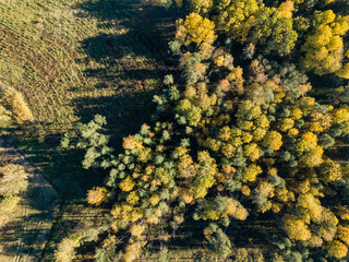 drone image. aerial view of rural area with fields and forests in autumn