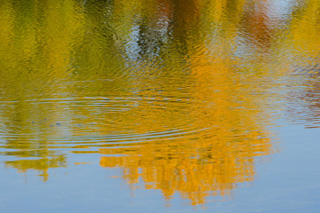 River water with reflection of autumn forest. Blurred image