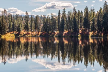 Aluminium Prints Forest in fog Reflected Lake Landscape