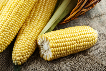 raw corn on burlap