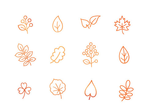 Autumn icon set. Fall leaves and berries. Nature symbol line art collection isolated on white background.