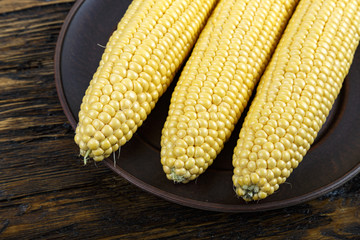 corn crop lying in a plate