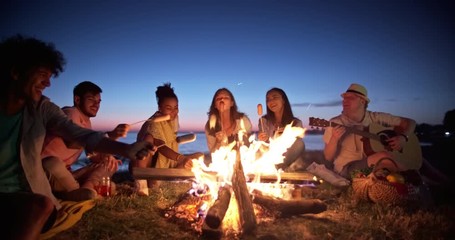 Group of six old multi-ethnic friends sitting near bonfire, roasting sausages, having a summer beach party, talking, enjoying their time 4k - Powered by Adobe