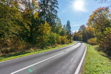Landstraße im herbstlichen Wald