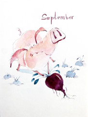 Autumn is harvest time (even if you are a pig)