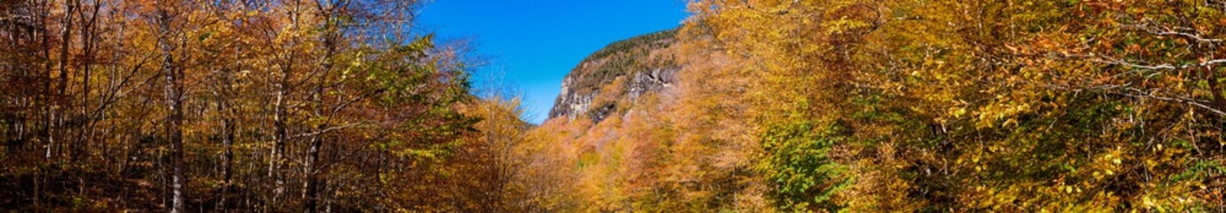 Panoramic view of an autumn scene in Vermont mountains near Stowe