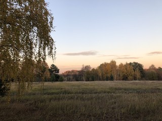 Obraz premium sunset over field