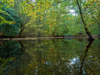 Iserlohner Stadtteich