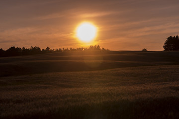 Obraz premium Sunset over farm field in Northern Wisconsin 