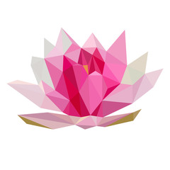 Colorful polygonal style design of pink lotus flower - obrazy, fototapety, plakaty