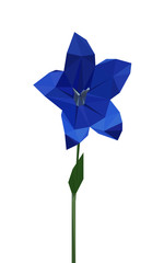 Colorful polygonal style design of blue balloon flower (platycodon grandiflorus)