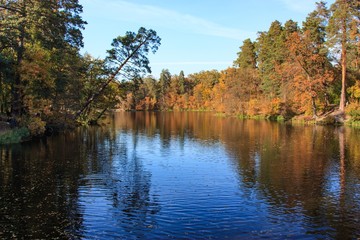 Fototapeta premium Ukraine. Kyiv. Pushcha Voditsa. Autumn landscape with trees reflecting in the water of the lake.