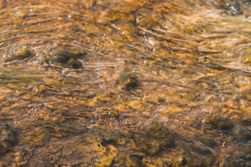 Yellowstone hot spring - close-up - turquoise water, yellow bacteria spots. Natural abstraction