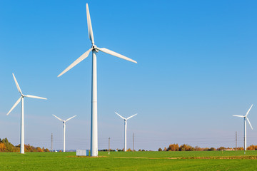 Wind turbines among a green field on a sunny autumn day