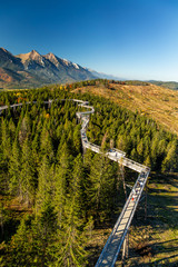 The treetop walk Bachledka in High Tatra mountains, Bachledova Valley in Slovakia