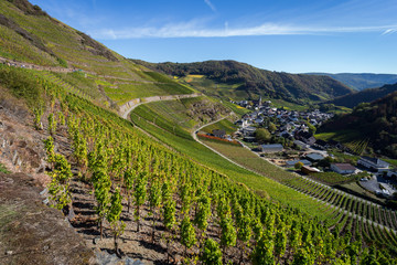 Blick auf Mayschoss vom Rotweinwanderweg