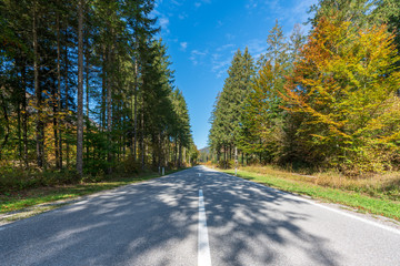 Landstraße im herbstlichen Wald