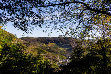 Blick auf Mayschoss vom Rotweinwanderweg