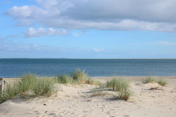 Beach and Sea on a cloudy day