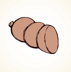 Sausage. Vector drawing