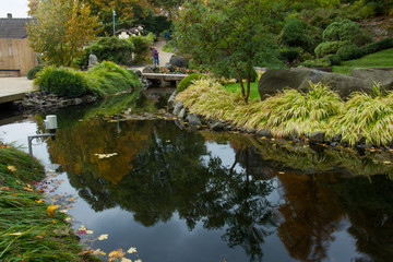 Fototapeta na wymiar Autumn. Yellow leaves. Japanese Maple. Japanese garden. Kaiserslautern