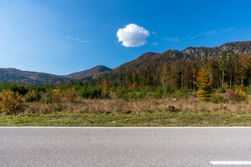 Landstraße im herbstlichen Wald