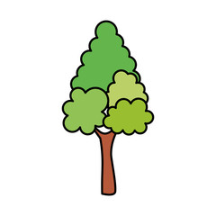 pine tree plant isolated icon