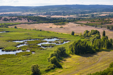Fototapeta premium swampy landscape at Tihany village near to lake Balaton, Hungary
