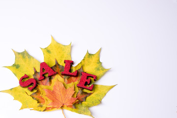 Word sale on autumn yellow and orange leaves on white background, place for inscription. Photo format horizontal