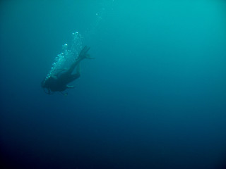 Dive Down