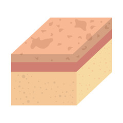 layer of skin type