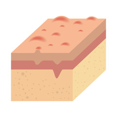layer of skin type
