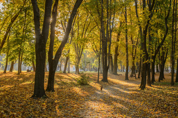 Park of landowner Lizogub