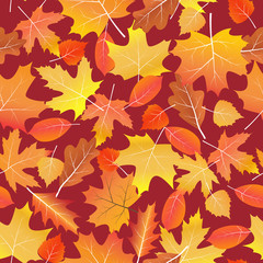 Seamless background with bright colorful autumn leaves.