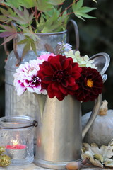 bouquet of dahlia flowers in antique coffee can