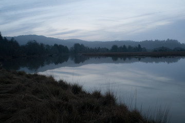 Estuary evening